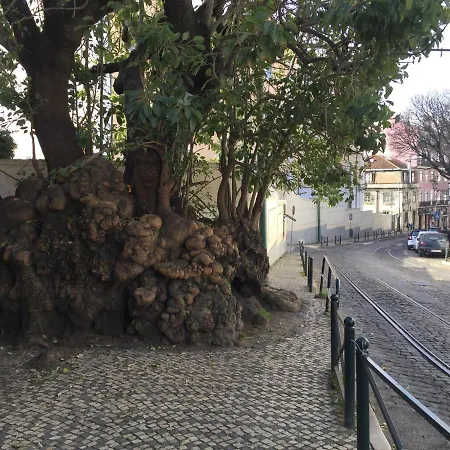 Draft & Vandrarhem Lisboa