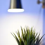 Hostel Draft Hostel&rooms Lissabon