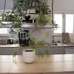 Draft Hostel&rooms