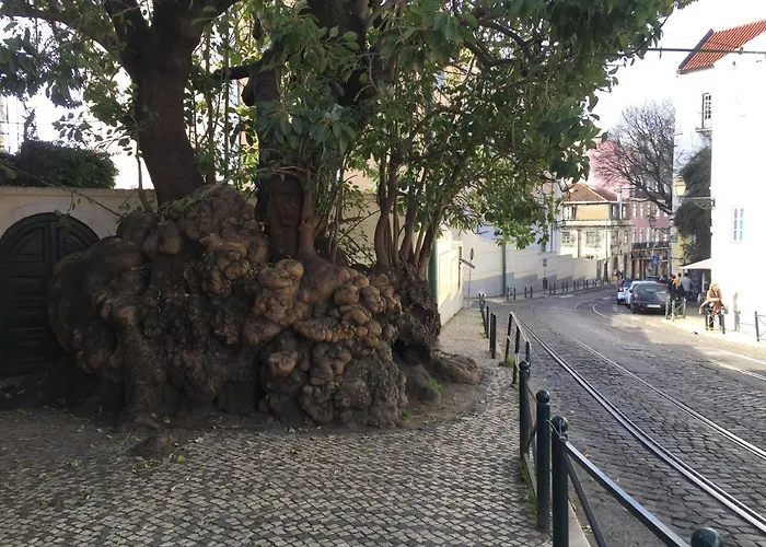 Draft & Hostel Lizbona